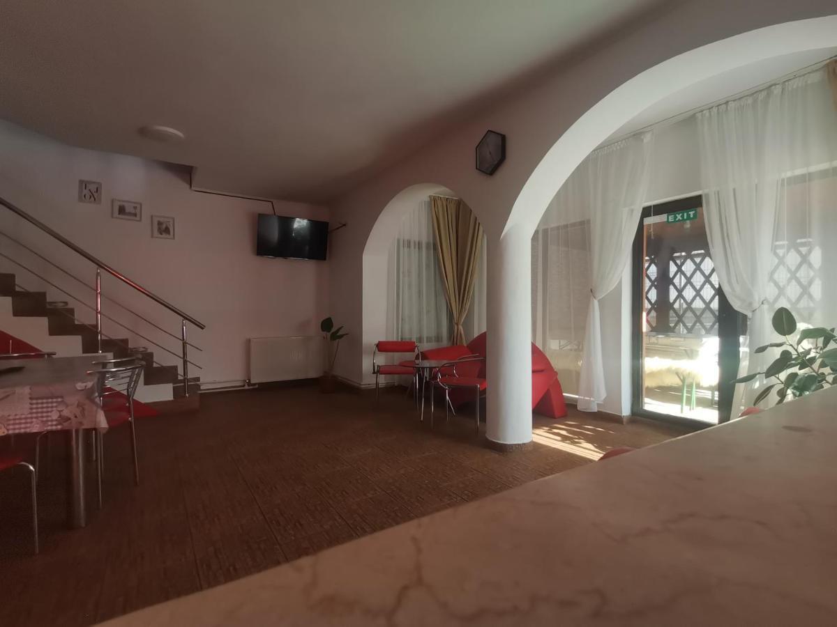 Buşteni Casa Dixi酒店 外观 照片