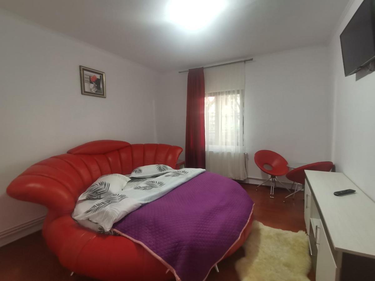 Buşteni Casa Dixi酒店 外观 照片