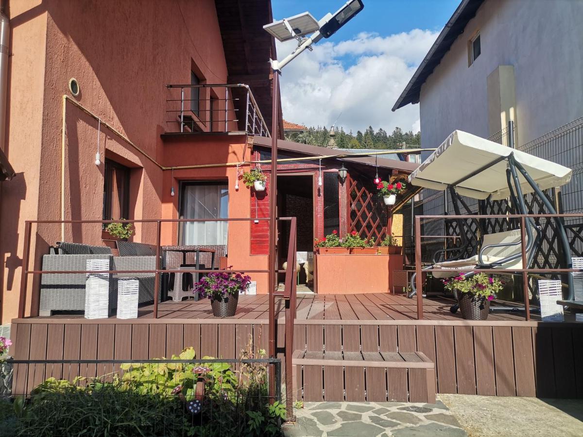 Buşteni Casa Dixi酒店 外观 照片