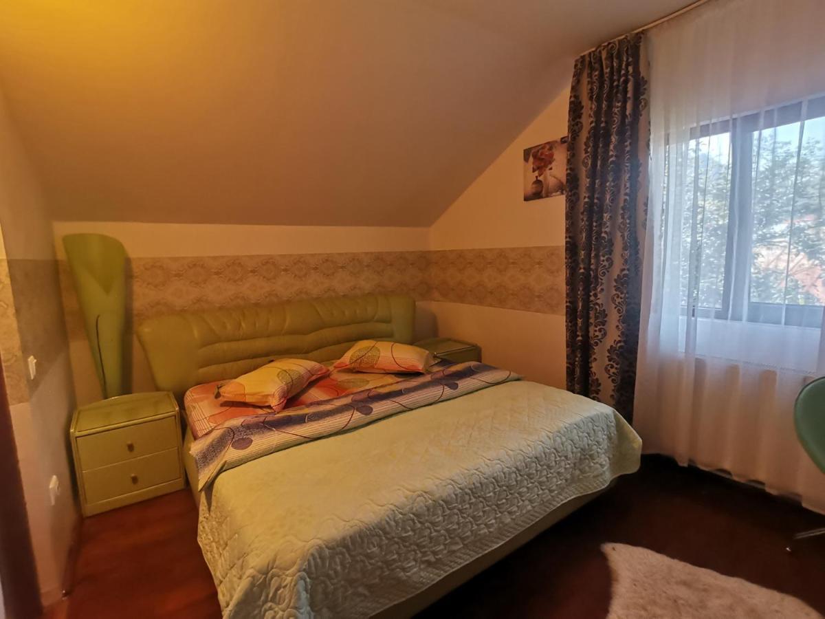 Buşteni Casa Dixi酒店 外观 照片